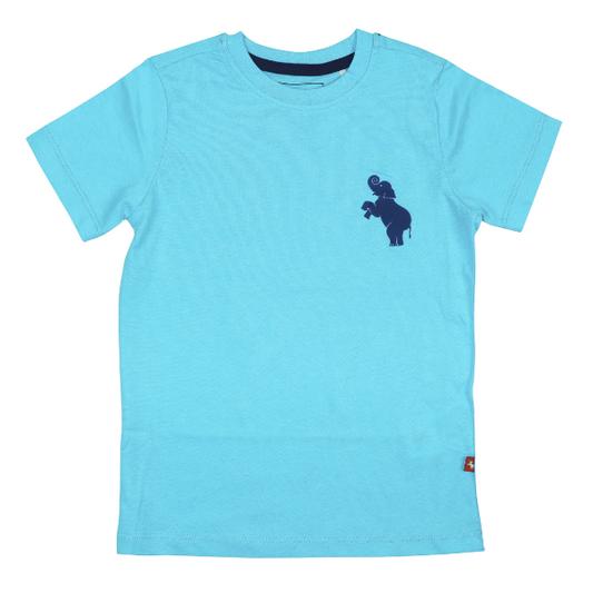 Toddler Boys Short Sleeve T-shirt - Bright Blue