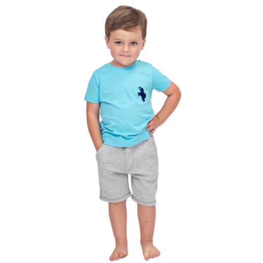 Toddler Boys Short Sleeve T-shirt - Bright Blue