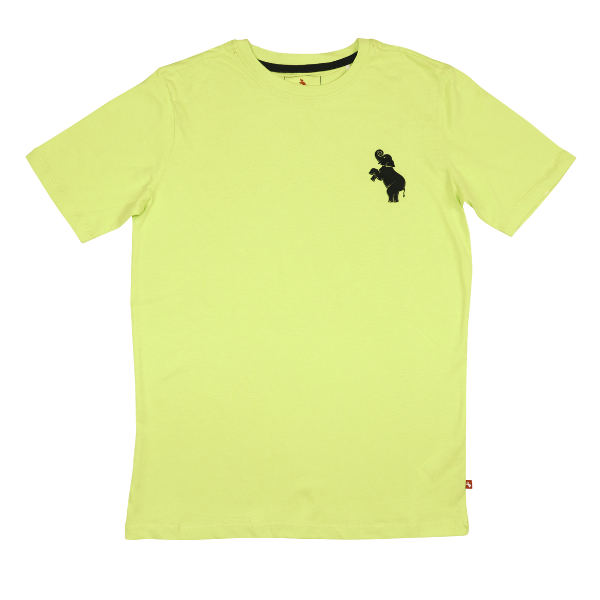 Boys Short Sleeve T-shirt - Neon