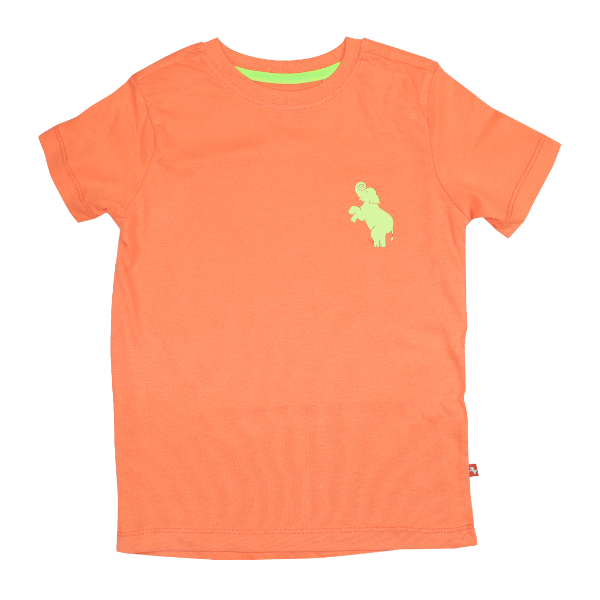 Boys Short Sleeve T-shirt - Neon Orange