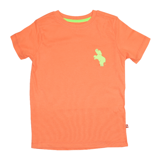 Toddler Boys Short Sleeve T-shirt - Neon Orange