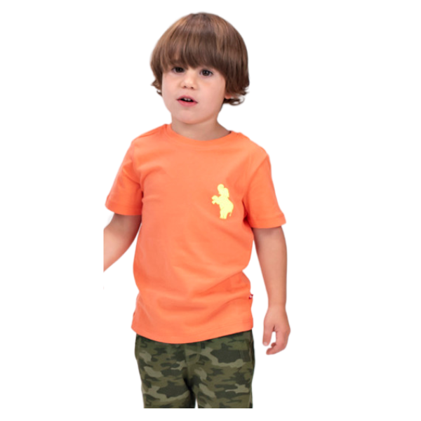 Toddler Boys Short Sleeve T-shirt - Neon Orange