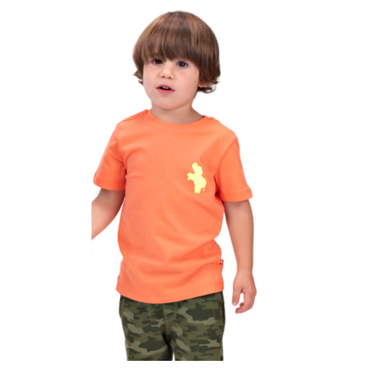 Toddler Boys Short Sleeve T-shirt - Neon Orange