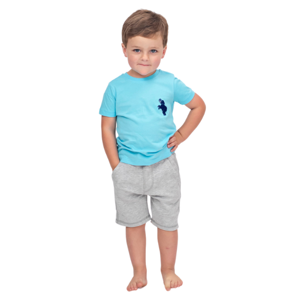 Toddler Boys Shorts French Terry- Grey